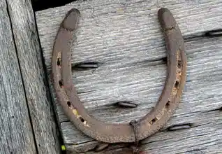 Homemade Money Amulets and Talismans