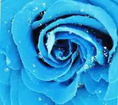 Blue Magic Spells