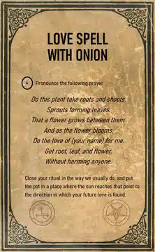 Effective home-made spells with onions