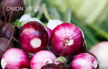 Effective home-made spells with onions