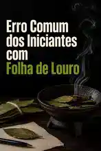Como manifestar abundância com um feitiço de dinheiro com folha de louro