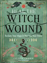 Heal the Witch Wound: Review and Overview