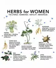 Herbs For Women