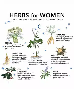 Herbs For Women