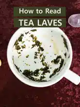 How to read Tea Leaves
