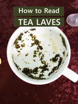How to read Tea Leaves