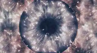 How to See the Future with Spells