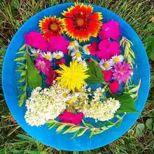 Magia del agua con flores
