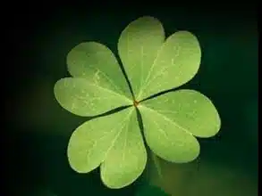 Magic Spells for Good Luck