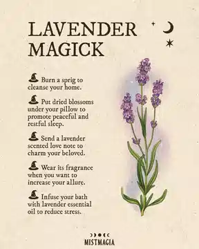 Properties of Herbs