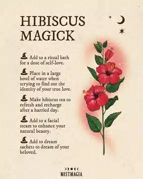 Properties of Herbs