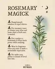 Properties of Herbs