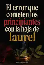 Cómo manifestar abundancia con un hechizo de dinero de hoja de laurel