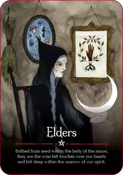 Seasons of the Witch: Samhain Oracle: Harness the Intuitive Power of the Year's Most Magical Night (44 Full-Color Cards and 180-Page Guidebook)