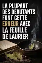 Comment manifester l'abondance avec un sort d'argent à la feuille de laurier