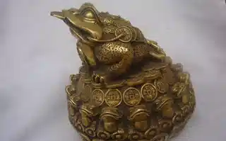 Sortilèges de sorcellerie avec des crapauds