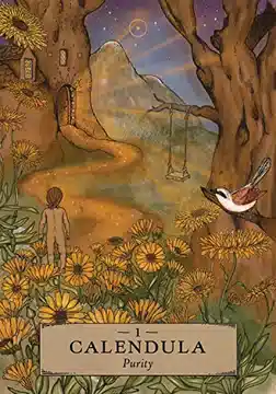 The Herbal Astrology Oracle