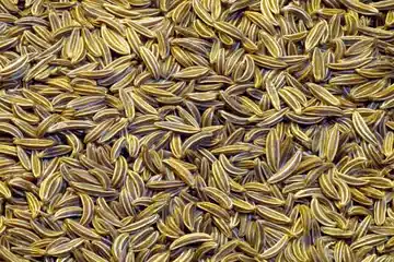 The magical power of cumin