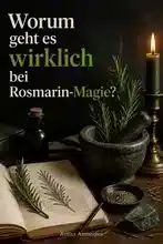 Die Magie des Rosmarins und was du wissen musst