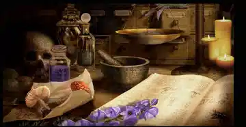 Wie man eine Hexe wird: 8 Geheimnisse, die dein Leben verändern